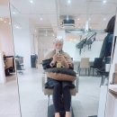 리나 앤 보스 | 리나앤보스 긴머리 손상없이 염색~명절 연휴 뽀개기