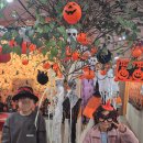 경안중학교 | 🎃 우리 아이들이 진심으로 웃었던 하루 – YBM영어 할로윈 데이 행사 후기 🎃