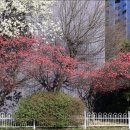 미망인경로당 이미지