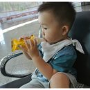 쭈쭈바PC 이미지