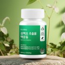 맥문동 | 환절기에 챙기는 기관지 관리 루틴 '에코나인 삼백초 맥문동' 후기