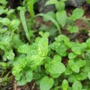 바디채널 동춘점 이미지