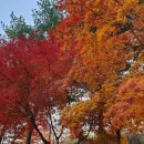 회암소류지 이미지