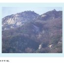 이유 정려각 Daum카페