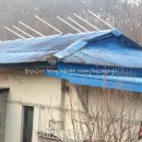 부성상사 이미지