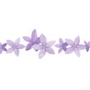 강서구-6 이미지