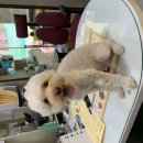 용산-188 이미지