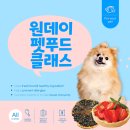 푸드펫 | 강아지 원데이 펫 푸드 클래스 다녀왔어요