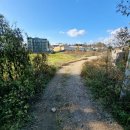 영태1리 마을회관 이미지