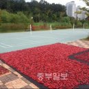 배수지체육시설 이미지