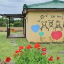 조수리애&이레 이미지