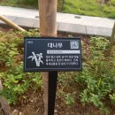 솔솔조경건설