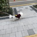 옐레드 문래역점 이미지