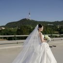 더라인씨앤에스 서울지점 | 서울본식스냅추천 ｜로얄파크컨벤션 본식스냅 후기