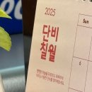 주노네 | 분량 조절 실패한 7월 일상 1부