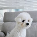 (주)바우라움 수원 캠퍼스 이미지