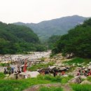 농월정주차장 이미지