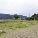 칠곡보오토캠핑장 이미지