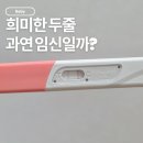 선인약국 | 센스틱 얼리 임테기 희미한 두줄, 임신일까? 이틀 뒤 결과 후기