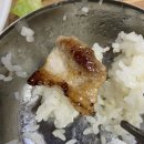 목포 죽교동 영신식육식당 현지인이 찾는 숨은 삼겹살맛집 찾았어요