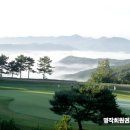 (주)블루버드시스템 이미지