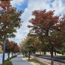 은산면행정복지센터 이미지