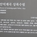 제주 안덕계곡 상록수림 이미지