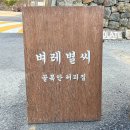 벼레별씨