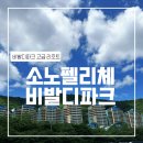 C월드PC방 | [홍천] 소노펠리체 비발디파크(실버스위트/비바플렉스몰/볼링장/pc방/오션월드/주차)