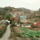 학촌 이미지