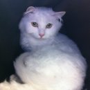 뮤동물병원 이미지