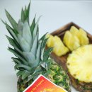 골드파인 이미지