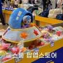 서현펫# | 서현역 AK플라자 페스룸 팝업스토어 기간 품목 총정리