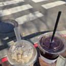 춘천닭갈비막국수 이미지