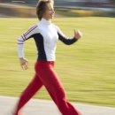 화랑합기도 이미지