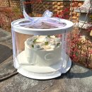 편백로 | 재방문한 진해케이크맛집 추천｜진해생일케이크추천 수제케이크전문점 얼그레이케이크 후기