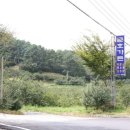 영암흑염소 이미지