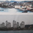 용호농장 이미지