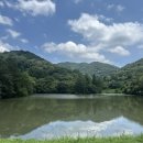 화순고인돌전통시장 | CNN이 선정한 한국의 비경 50선 세량지 / 화순 고인돌 전통시장