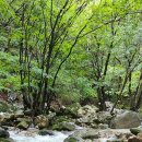 유명산캠핑장 이미지