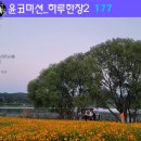 어반스케치(기초) 이미지