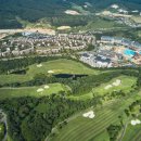 디아너스 이미지