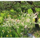 여주-0593 이미지