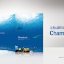 참바다영어조합법인 이미지