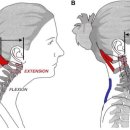 난향동-15 이미지