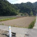 대곡면-5 이미지