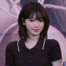 할스타일 이미지