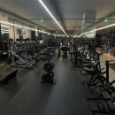 디벨롭짐 이미지