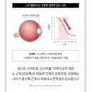 41190-01-07-164 | 황반 건강의 정석 뉴트리원 164 루테인 지아잔틴 GR 6개월분 솔직리뷰