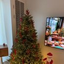 소소온담 | 울진 소소온담 후기｜우정여행, 가족여행 숙소로도 만족한 숙소(내돈내산)